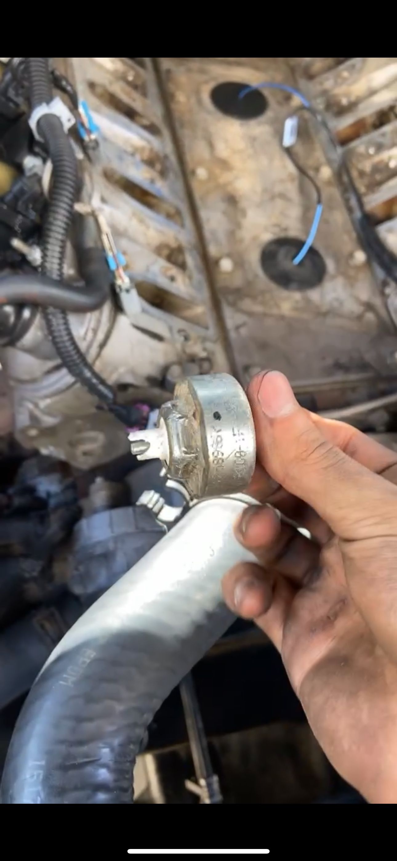 Photo from Demo for Recruiters 🧧